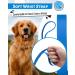 Looxmeer 7m Neon Blue Dog Tow Line - Robust Training Line with Storage Bag | International Shipping Available - Buy Online on SooperMarket.com