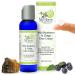Wild Blueberry & Chaga Face Cream With Wild Blueberry & Maine Chaga Mushroom For Highest in Skin Health