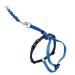 PetSafe Come With Me Kitty Harness and Bungee Leash Harness for Cats Large Royal Blue/Navy Royal Blue/Navy Large