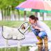 Petcute Waterproof Dog Raincoat with Hood - Transparent PVC Breathable & Button Closure for Medium & Large Dogs (Size M Black) - Buy Online on SooperMarket.com