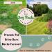 Dog Rocks - Urine Patch Preventer (200g) / Natural Dog Urine Neutraliser for Water Bowls Grass Repair Urine Burn Patch Repair 200 g (Pack of 1) - Buy Online on SooperMarket.com