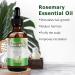 100% Pure Rosemary Oil for Hair & Scalp - Natural Hair Growth & Nourishing Aromatherapy (120ml 2 Pack) - Buy Online on SooperMarket.com