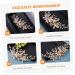 Gogogmee Headgear Bridal Hair Comb Bridal Headpieces for Wedding Bride Hair Comb Wedding Pearl Hair Comb Wedding Hair Accessories for Brides Wedding Hair Comb Wedding Headpiece for Bride - Buy Online on SooperMarket.com