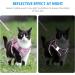 BriFit Cat Dishes with 150cm Leash - High Quality Breakfast Set for Cats & Small Dogs (Pink XS) - Perfect for Pets 6.61-1lb - Buy Online on SooperMarket.com