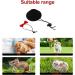 POPETPOP Guinea Pig Outfit Hamster Hat and Bowtie Set - Small Animal Costume for Parties and Festivals - Perfect for Rats, Sugar Gliders, Rabbits, Chinchillas, Ferrets, and Cats - Black - Buy Online on SooperMarket.com