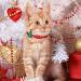 TAILGOO Breakaway Cat Collars with Bell - 3 Pack for Kittens, Puppies, and Tiny Pets - Thanksgiving, Christmas, Pumpkin Design - Buy Online on SooperMarket.com