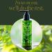 WEN by Chaz Dean Bamboo Green Tea Restorative Styling Cream - Anti-Frizz Hair Cream for Men & Women | Frizz Control & Finishing Cream - 6 Fl Oz - Buy Online on SooperMarket.com