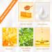 Lip Care Lip Balm Set - Honey Milk Moisturizing And Plump Lipbalm Set - Lip Hydration Exfoliating Minimizing Lip Lines Brightening Lip Repair - Lip Scrub Lip Balm Lip Oil Lip Mask - Buy Online on SooperMarket.com
