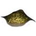 Linden flower Herbal tea | Wild crafted Tilia cordata |Rich in flavonoids | Loose tea| (200) 200.0 grams - Buy Online on SooperMarket.com