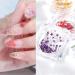 8 Boxes Dried Flowers for Nails | Nail Art Sticker Kit | DIY Nail Decoration Accessories - 8 Colors - Buy Online on SooperMarket.com