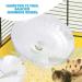 Wheel for Hamster | Hamster Exercise Wheel Running Wheel Small Animal Toys for Hamsters Gerbils Mice Hamster Cage Accessories Troonz White - Buy Online on SooperMarket.com