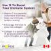 Promise Vitamin C - High Potency 1000mg 180 Capsules- High Immunity Support Healthy Bones Collagen Formation Body Tissue Repair Delayed Release for No Upset Stomach Made in Canada - Buy Online on SooperMarket.com
