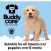 BuddyCare White Dog Shampoo - Brightening & Deep Cleaning Aloe Vera Formula (500ml) | Fresh Fragrance & Pro-vitamin B5 - Buy Online on SooperMarket.com