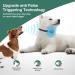 MASBRILL Anti Bark Collar for Large Medium Small Dogs - Dog Barking Collar with Vibration & Sound Harmless Training - Stop Dog Barking Deterrent Device 7 Sensitivity Adjustable No Bark Collar - Green - Buy Online on SooperMarket.com