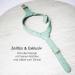 Muki & Co Double Dog Dishes - Adjustable Mint Green - Safe & Comfortable for Extra Small Small & Medium Dogs (Size S 38-45 cm) - Buy Online on SooperMarket.com