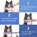 2 Pack Cat Flea Collar | 8 Months Protection | Repels Fleas & Ticks | Safe & Effective Prevention - Buy Online on SooperMarket.com