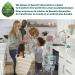 Seventh Generation Free & Clear Dish Liquid Soap 25 Oz - Pack of 6 - Buy Online on SooperMarket.com