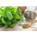 Nature Kitchen Basil 200g: Gluten-Free Vegan Seasoning Spices for Everyday Cooking - Marinades, Sauces, Frying, Baking, Grilling - Buy Online on SooperMarket.com