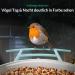 Netvue Bird Feed Donor & Camera - AI-Powered Bird Feeder with Species Detection | Bird House & Feed Stations for Wild Birds - Buy Online on SooperMarket.com