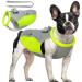 Hjyokuso cool vest dogs cooling vest for dogs with dishes for summer dogs cool vest for small medium and large dogs cooling jacket for dog cooling jacket for activities outside training s gray