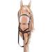 HKM Hobby Horse Martingal - Premium Black Equestrian Gear for International Shipping - Buy Online on SooperMarket.com