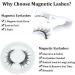 2 Pairs Magnetic Eyelashes Magnetic Lashes Magnetic Eyelashes Natural Look with Applicator Reusable Fake Lashes No Glue Fluffy False Eyelashes - Buy Online on SooperMarket.com