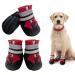 NeuWook Dog Boots 4 Pcs Waterproof Anti-Slip Breathable Dog Shoes with Two Adjustable Fastener Straps Easy to Wear Dog Sneakers Comfortable Soft Soled for Small Medium Large Dogs (Red XXL) XXL Red
