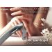 Professional Foot Care Head Cutter Nail Pliers - Double Gear Ratio 4-Way Screwed for Precision & Comfort - Buy Online on SooperMarket.com