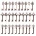 30PCS Assorted Antique Skeleton Keys, Vintage Steampunk Keys, Classic Collection (Copper)
