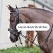HEEPDD Horse Neck Stretcher 9.84ft Elastic Nylon Rope Horse Reins Training Rope Comfortable Training Aid - Buy Online on SooperMarket.com
