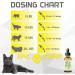Epic Chimp Feline Hemp Oil 28,000mg with Vegan Omegas 3 & 6 | Vitamin E | Healthy Skin & Fur | 1oz - Buy Online on SooperMarket.com