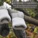 SOLAX Women's Merino Wool Hiking Socks - 2 Pairs Outdoor Trail Crew Socks (Medium, Navy) - Buy Online on SooperMarket.com