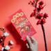 ABOOFAN 24pcs God of Wealth Red Envelope Bag Rabbit Year Envelope Chinese New Year Red Envelope Lucky Money Envelopes Bunny Red Envelopes See Spring Bao Paper Zodiac Bag Chinese Style - Buy Online on SooperMarket.com