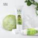 TNTN MOM'S Cabbage Breast Care Set - 8 Patch + 3.38 Fl oz Cream for Breastfeeding and Pregnancy - Buy Online on SooperMarket.com