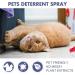 LDREAMAM Anti-Scratch Spray for Cats & Dogs - Effective Scratch Protection & Defense Spray - 1PC - Buy Online on SooperMarket.com