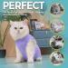 Avont Katzenbody - Post-Op Recovery Suit for Cats | Leak Protection Abdominal Wounds Skin Diseases | Size M - Lavender - Buy Online on SooperMarket.com