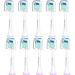 Senyum Replacement Toothbrush Heads for Philips Sonicare Replacement Heads Compatible with Phillips Sonicare Replacement Brush Head Electric Toothbrushes for Sonic Care Brush Refill Snap-On 10 Pack 10 White