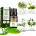 Trendyfave Tea Tree Essential Oils Tea Tree Oil for Skin Anti-Pimples and Acne Moisturizer and Brighten Skin. Tea Tree Oil for Diffuser Humidifier DIY Home Office. Tea Tree Face Oil-10ml - Buy Online on SooperMarket.com