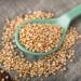 Buy Organic Quinoa | sssundclever.de | 1.8 kg | Untreated | Plastic-Free & Eco-Friendly Packaging - Buy Online on SooperMarket.com