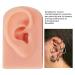 Flexible Silicone Right Ear Model - 3 Colors for Acupuncture Training - Buy Online on SooperMarket.com