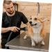 DOITOOL 3pcs Pet Water Blower Universal Blow Dryer Comb Attachment Styling Tool Universal Blow Dryer Nozzle Attachment Blower Comb Creative Dryer Nozzle Hair Abs - Buy Online on SooperMarket.com