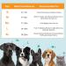 Petyoung Inflatable Dog Cone XL - Anti-Licking Baffle for Dogs After Surgery - Soft Cone for Small, Medium, and Large Breeds (Neck 19-25 in) - Buy Online on SooperMarket.com