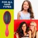 Conair Gently Detangle Hair Brush 3 Count - Flexible Bristles - for Dry and Wet Hair (Color May Vary) - Buy Online on SooperMarket.com