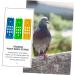 Beavorty 6 Pcs Pigeon Ring Stand Labels Pigeon Ring Bands Racing Pigeon Accessory Racing Pigeon Ring Round 20x7cmx2pcs As Shownx2pcs - Buy Online on SooperMarket.com