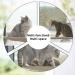 Cat Hammock Perch - Window Bed Seat Shelf for Indoor Cats | Safety Resting Shelf for 2 Cats | 360 Sunny Seat Space Saving Cat Bed (Khaki) - Buy Online on SooperMarket.com