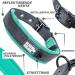 Black Rhino Comfort Collar - Super Soft Neoprene Dog Collar for All Breeds | Adjustable Reflective & Weatherproof (XL Aqua/Gray) - Buy Online on SooperMarket.com