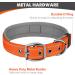 Joytale Softly Padded Neoprene Dog Collar for Small Dogs - Reflective Nylon Orange S (1 Pack) | Best International Shipping - Buy Online on SooperMarket.com