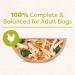 CESAR Wholesome Bowls Wet Dog Food Chicken Carrots Barley & Green Beans 85g Pack of 10 Chicken Carrots & Green Beans 85 g (Pack of 10) - Buy Online on SooperMarket.com