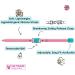 Shop Kittyrama Neck Bands for Cats & Kittens - Vogue Featured Vet Approved Breakaway Hypoallergenic & Comfortable - Shop Now! - Buy Online on SooperMarket.com