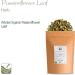 Organic Passion Flower Calming Tea - Whole Leaf Dried Passiflora Herb for Anxiety - 200g Pack - Buy Online on SooperMarket.com